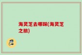 海灵芝去哪踩(海灵芝之旅)
