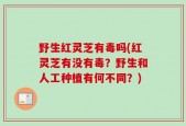 野生红灵芝有毒吗(红灵芝有没有毒？野生和人工种植有何不同？)