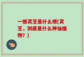一根灵芝是什么梗(灵芝，到底是什么神仙植物？)