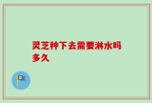 灵芝种下去需要淋水吗多久