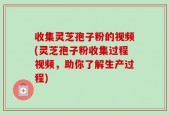 收集灵芝孢子粉的视频(灵芝孢子粉收集过程视频，助你了解生产过程)