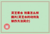 灵芝煮水 效果怎么样图片(灵芝水的功效及制作方法简介)