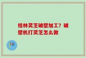 桂林灵芝破壁加工？破壁机打灵芝怎么做