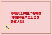 枣阳灵芝种植户有哪些(枣阳种植户走上灵芝致富之路)