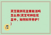 灵芝栽到花盆里能活吗怎么养(灵芝可种在花盆中，如何科学养护？)