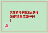 灵芝的种子要怎么获得(如何收集灵芝种子？)