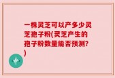 一株灵芝可以产多少灵芝孢子粉(灵芝产生的孢子粉数量能否预测？)