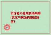 灵芝能不能炖鸭汤喝呢(灵芝与鸭汤的搭配如何？