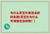 为什么灵芝片像泡沫状的东西(灵芝片为什么外观像泡沫状物？)