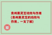 贵州黑灵芝功效与作用(贵州黑灵芝的功效与作用，一文了解)