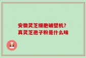 安徽灵芝细胞破壁机？真灵芝孢子粉是什么味