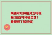 陕西可以种植灵芝吗视频(陕西可种植灵芝？看视频了解详情)