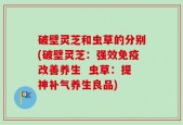 破壁灵芝和虫草的分别(破壁灵芝：强效免疫改善养生  虫草：提神补气养生良品)