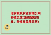 淮安聚航农业有限公司种植灵芝(淮安聚航农业：种植高品质灵芝)