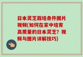 日本灵芝栽培条件图片视频(如何在家中培育高质量的日本灵芝？视频与图片详解技巧)