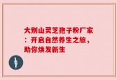 大别山灵芝孢子粉厂家：开启自然养生之旅，助你焕发新生