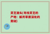 灵芝源头(寻找灵芝的产地：解开草原深处的奥秘)