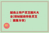 越南土特产灵芝图片大全(探秘越南特色灵芝：图集分享)