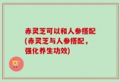 赤灵芝可以和人参搭配(赤灵芝与人参搭配，强化养生功效)
