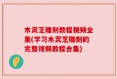 木灵芝雕刻教程视频全集(学习木灵芝雕刻的完整视频教程合集)