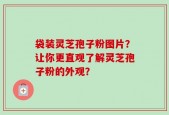 袋装灵芝孢子粉图片？让你更直观了解灵芝孢子粉的外观？
