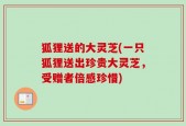 狐狸送的大灵芝(一只狐狸送出珍贵大灵芝，受赠者倍感珍惜)