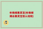 朴教授黑灵芝(朴教授揭示黑灵芝惊人功效)
