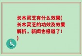 长木灵芝有什么效果(长木灵芝的功效及效果解析，新闻也报道了！)