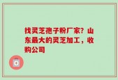找灵芝孢子粉厂家？山东最大的灵芝加工，收购公司
