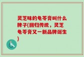 灵芝味的龟苓膏叫什么牌子(回归传统，灵芝龟苓膏又一新品牌诞生)