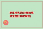 野生地灵芝(珍稀的地灵芝在野外被发现)