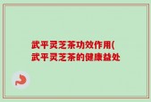 武平灵芝茶功效作用(武平灵芝茶的健康益处