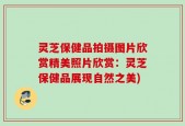 灵芝保健品拍摄图片欣赏精美照片欣赏：灵芝保健品展现自然之美)