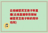 云南破壁灵芝孢子粉直播(云南直播带你探秘破壁灵芝孢子粉的奇妙功效)