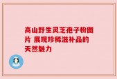 高山野生灵芝孢子粉图片 展现珍稀滋补品的天然魅力