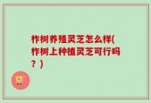 柞树养殖灵芝怎么样(柞树上种植灵芝可行吗？)