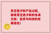 灵芝孢子粉产出过程_探索灵芝孢子粉的生成之旅：自然与科技的完美结合)