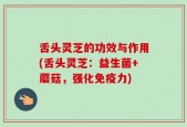舌头灵芝的功效与作用(舌头灵芝：益生菌+蘑菇，强化免疫力)