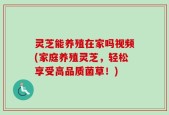 灵芝能养殖在家吗视频(家庭养殖灵芝，轻松享受高品质菌草！)