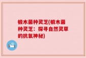 椴木菌种灵芝(椴木菌种灵芝：探寻自然灵草的抗氧神秘)