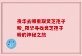 夜华去哪里取灵芝孢子粉_夜华寻找灵芝孢子粉的神秘之旅