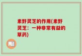 素野灵芝的作用(素野灵芝：一种非常有益的草药)