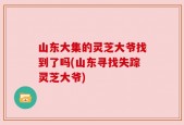 山东大集的灵芝大爷找到了吗(山东寻找失踪灵芝大爷)