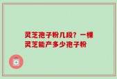 灵芝孢子粉几段？一棵灵芝能产多少孢子粉