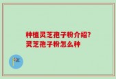 种植灵芝孢子粉介绍？灵芝孢子粉怎么种