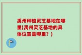 禹州种植灵芝基地在哪里(禹州灵芝基地的具体位置是哪里？)