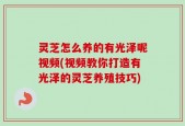 灵芝怎么养的有光泽呢视频(视频教你打造有光泽的灵芝养殖技巧)