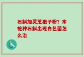 石斛加灵芝孢子粉？木桩种石斛出现白色菌怎么治