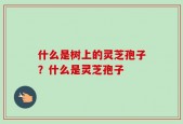 什么是树上的灵芝孢子？什么是灵芝孢子