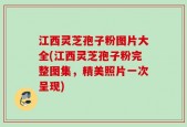 江西灵芝孢子粉图片大全(江西灵芝孢子粉完整图集，精美照片一次呈现)